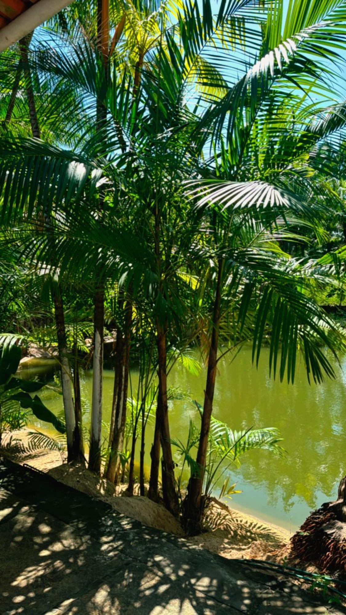 Pousada Beira Rio Barreirinhas Exterior foto
